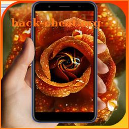 Rare Flower Live Wallpapers 4K Free Roses Library icon