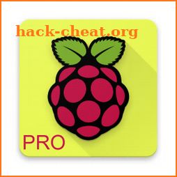 Raspberry Pi PRO icon