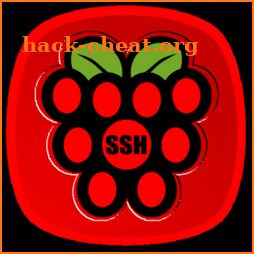 Raspberry SSH Custom Buttons icon