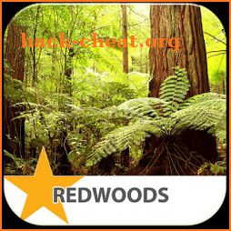 Redwood National Park icon