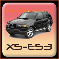 Repair BMW X5 E53 icon