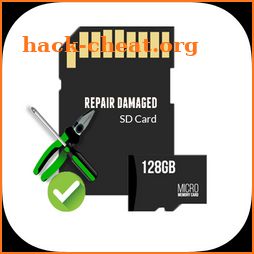 Repair Memory Card icon