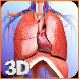 Respiratory System Anatomy Pro. icon