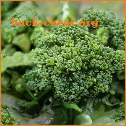 Roasted Broccoli icon