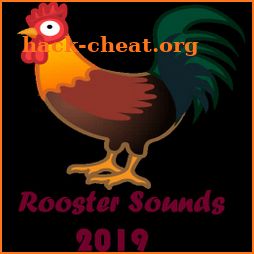 Rooster Sounds 2019 icon