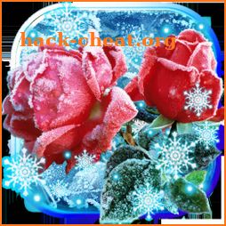 Roses Snow Winter Live wallpaper icon