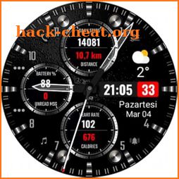 S200 Hybrid Watchface icon