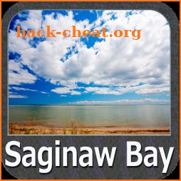 Saginaw Bay GPS Map Navigator icon