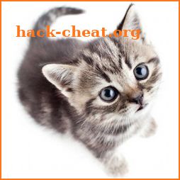 Save The Kitten icon