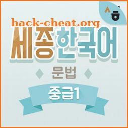 Sejong Korean Grammar -  Intermediate1 icon