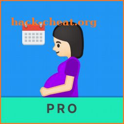 Semanas a meses de embarazo icon