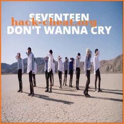 Seventeen Don't Wanna Cry icon