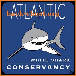 Sharktivity - White Shark App icon
