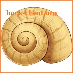Shell Matching Game icon