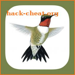 Sibley Guide to Hummingbirds icon