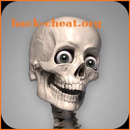 Skelly: Poseable Anatomy Model icon