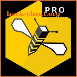 SkyBee Pro icon