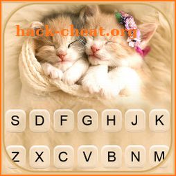 Sleeping Cute Kitten Keyboard Background icon
