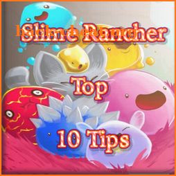 slime rancher Guide and Tips top 10 icon
