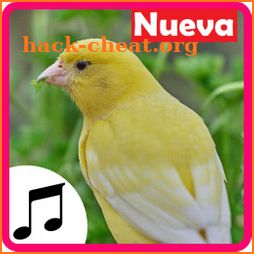 Sonidos de Canarios, cantos y tonos icon