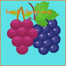 Sort the Grapes icon