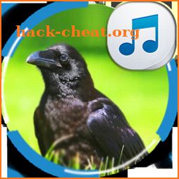 Sounds of Crows icon
