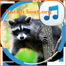 Sounds of Raccoon icon