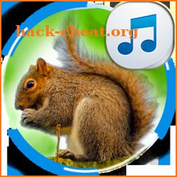 Sounds of Squirrels icon