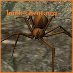 Spider Nest Simulator - insect and 3d animal game icon