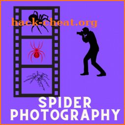 Spider Photography icon