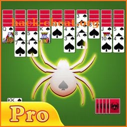 Spider Solitaire Pro+ icon
