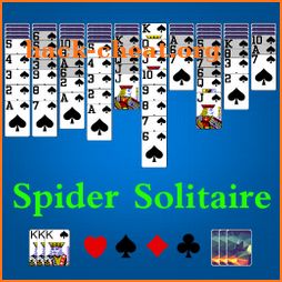 Spider Solitaire Pro - No Ads icon