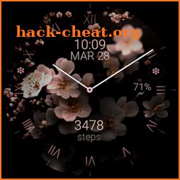 Spring Bloom 2 pink watch face icon