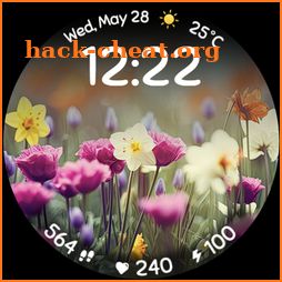 Spring Flowers icon