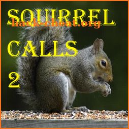 Squirrel Calls 2 icon