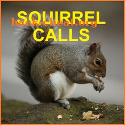 Squirrel Hunting Calls icon