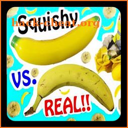 Squishy VS Real Food icon