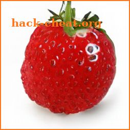 Strawberry Crumble Bars icon