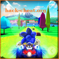 Subway Blue Hedgehog Racing icon