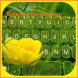 Summer Tulips Keyboard Background icon