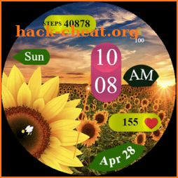 Sun Flower - Watch Face icon