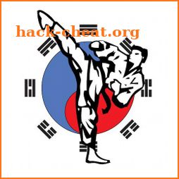 Taekwondo Master icon