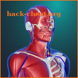 teamLab Body Pro 3d anatomy icon