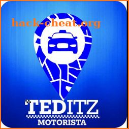 TEDITZ - Motorista icon