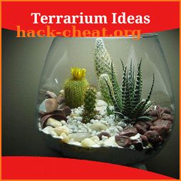 Terrarium Ideas icon