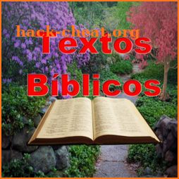 Textos Bíblicos icon