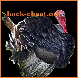 Thanksgiving Sounds icon