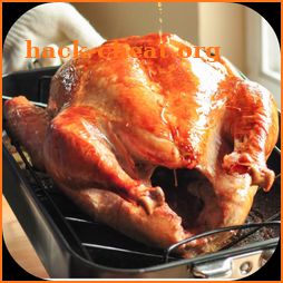 Thanksgiving Turkey Recipe icon