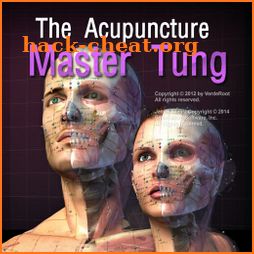 The Acupuncture Master Tung icon