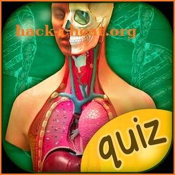 The Human Anatomy Quiz App On Human Body Organs icon